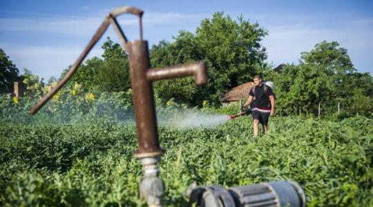 Kutak engedélyezése: felmérést indít az Agroinform