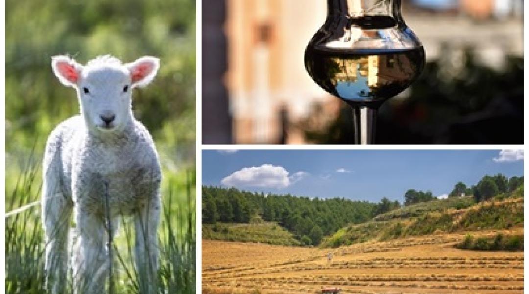Egyszerűsödő ügyintézés, új jogszabályok, fordulópont a pálinkafőzésben