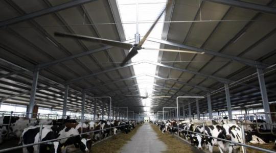 Ingyenes segítséget kapnak az állattartók a fertőzések megelőzésében