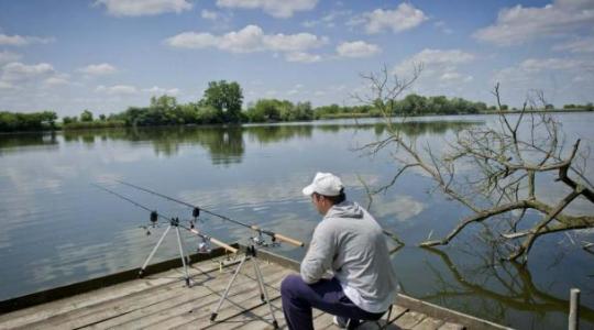 Pecások figyelem! Kapitális pontyok fényképeit várja az Állami Halőri Szolgálat