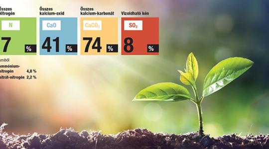 A savanyú talaj ezer módon veti vissza a termesztés sikerét – így javítsd talajodat szakszerűen!