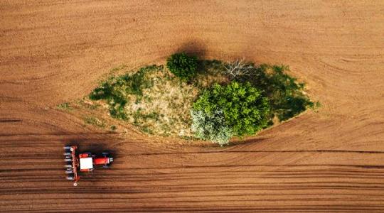 Ezeket az agráriumot érintő törvényeket tárgyalják idén tavasszal