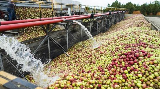 Nagy lépésre szánta el magát az Agrárminisztérium