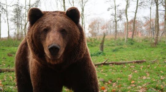 Ma kiderül, hogy marad-e a tél vagy lassan érkezik a tavasz