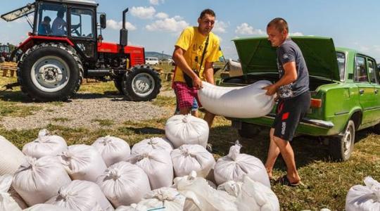 Durván megemelkedett a búza és a kukorica ára tavalyhoz képest