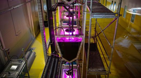 Európában egyedülálló, innovatív mikroalga-termesztő pilot üzem működik Magyarországon