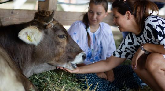 28. Farmer-Expo: Mezőgazdaság, elhivatott szakemberek, korszerű technológiák egy helyen 