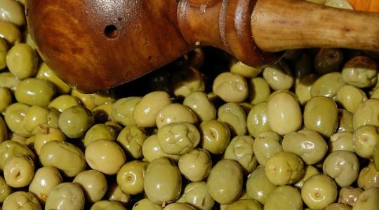 Ötven kilogramm olajbogyót szüreteltek a Balaton mellett