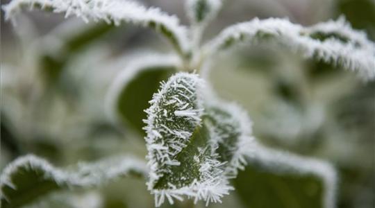 Sarkvidéki hideg jön, -20 fok is lehet