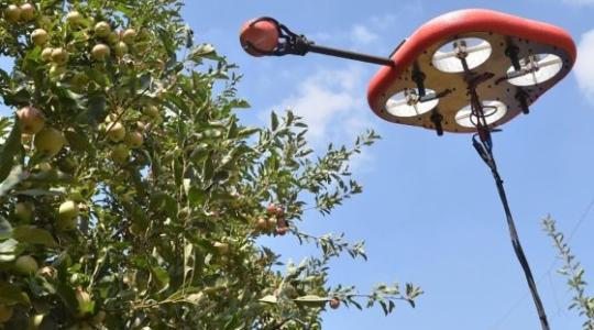 Gyümölcsszedő drónba fektet vagyonokat a Kubota
