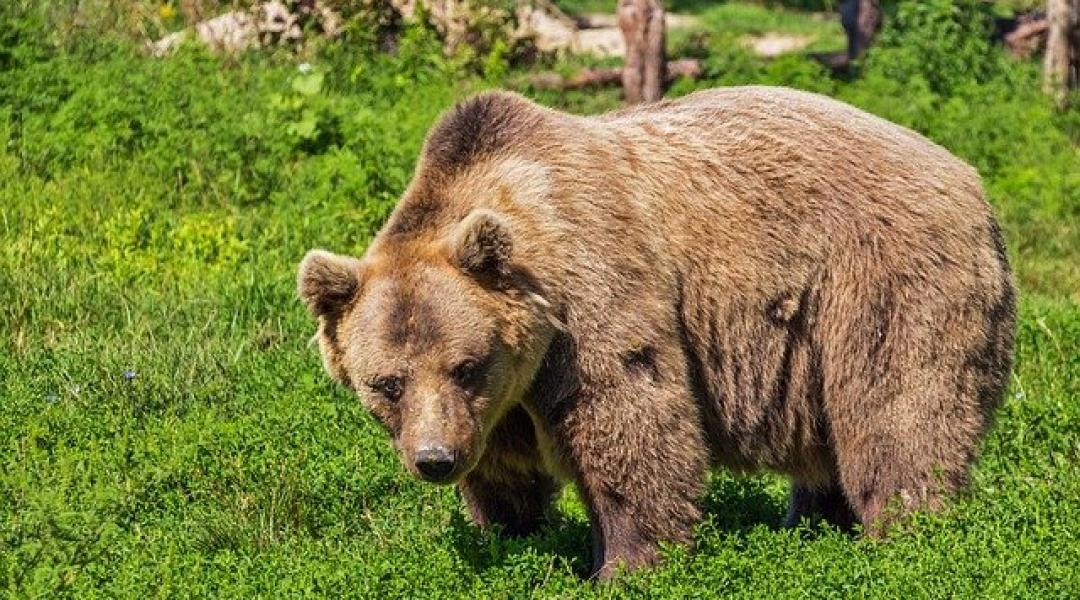 Miért rosszak a hosszú távú időjárás előrejelzések?