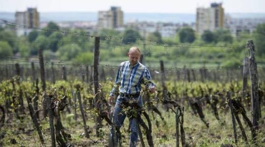 Sokan tartoznak az agrárkamarának, pedig azt sem tudták, hogy tagok