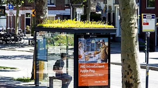Zöld buszmegállók a városi méheknek