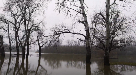 Kiöntött a Tisza Mártélynál (Videó!)
