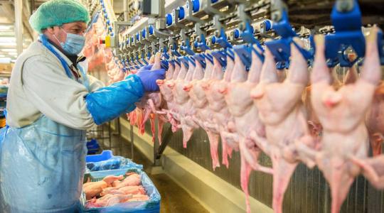 Soha nem látott fejlesztéseket ígérnek a magyar élelmiszeriparban