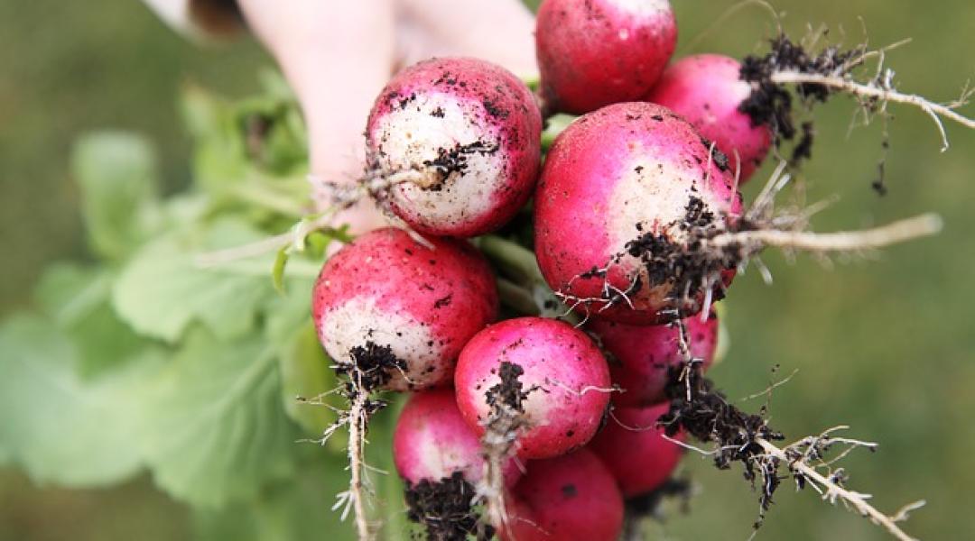 Termessz retket! Hamar megtérül a befektetés