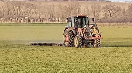 Kapunk hideget, meleget a tavasz első hetében – Videó