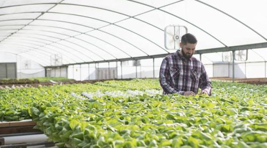 Fenntartható megoldásokkal segíti a gazdákat a BASF