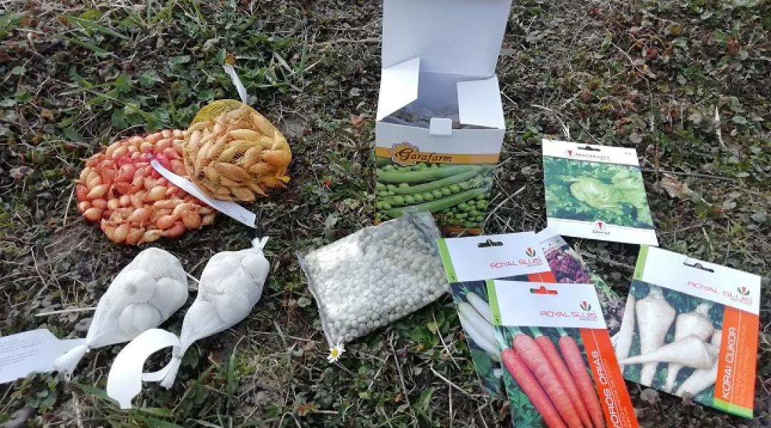 Irány a kert! Ezeket a zöldségeket most kell elvetni