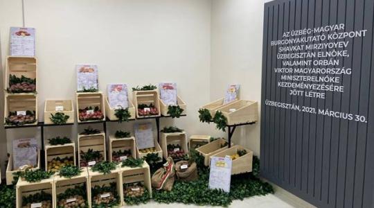 Üzbég-Magyar Burgonyakutató Központot avattak