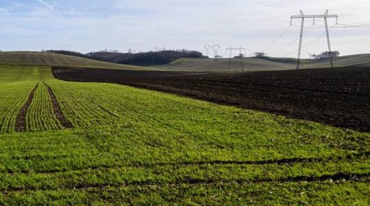 Nem szűnik meg a haszonbérlet az osztatlan közös tulajdon kimérésével