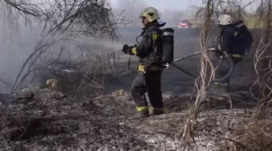 Két hektáron égett a nádas – videón a tűzoltók küzdelme a lángokkal