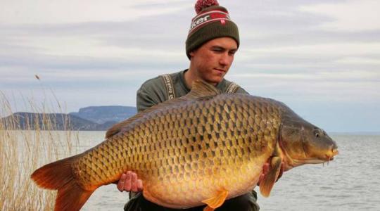 Ezt látnod kell! Óriás pikkelyes akadt horogra a Balatonon – Képek
