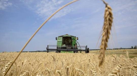 A globális felmelegedés miatt a terménytárolás költségei is nőni fognak