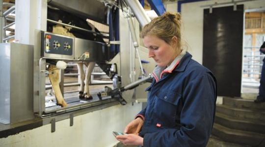 Automatikus fejőrendszer: könnyen végzi a bonyolult fejési feladatokat