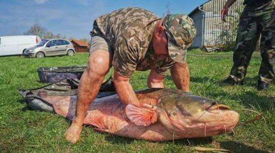 80 kilós óriás akadt horogra – a horgászok is megdöbbentek