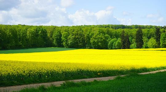 8 meglepő változás a magyar mezőgazdaság elmúlt 10 évében