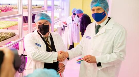 Félmilliárdból épült egyedülálló vertikális farm Újpesten