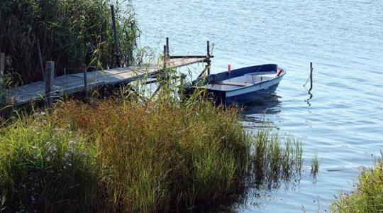 54 kilós vörös óriást fogtak a Kis-Balatonból