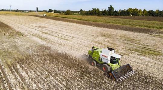 Aranyláz az agráriumban – ez nem szolgálja a gazdák érdekeit