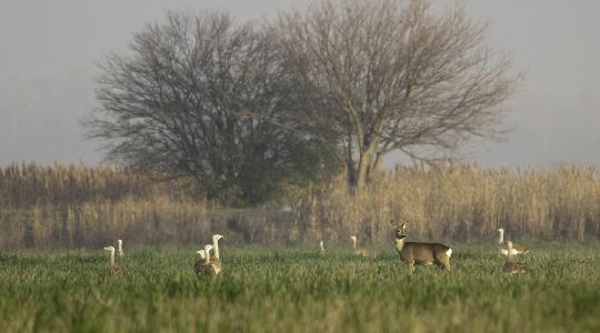 Programajánló: Irány a legközelebbi Nemzeti Park!