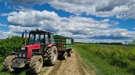 Felhőszakadásra és zivatarokra figyelmeztetnek – nézd meg, hol!