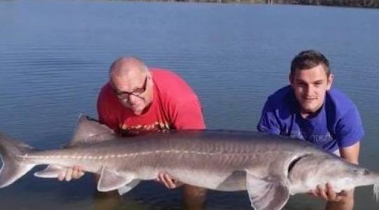 Gigantikus tokhalat fogott egy magyar horgász – videó