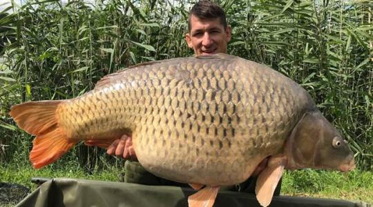 28 kilós pontyóriást fogott az Európa-bajnok birkózó