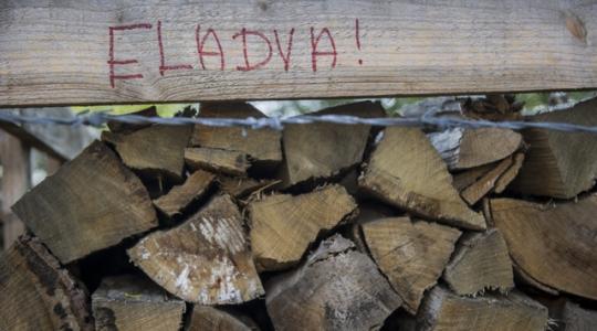 Újabb tűzifás csalás terjed, ne dőlj be neki!