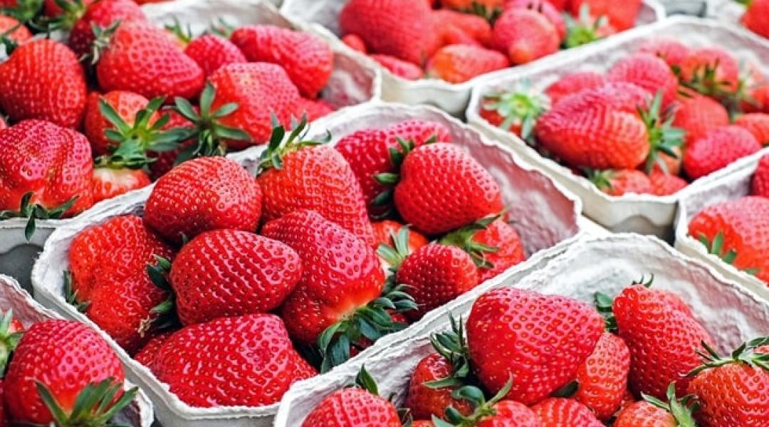 A fóliás drága, a szabadföldi szamóca nem érik – mi jöhet még? 