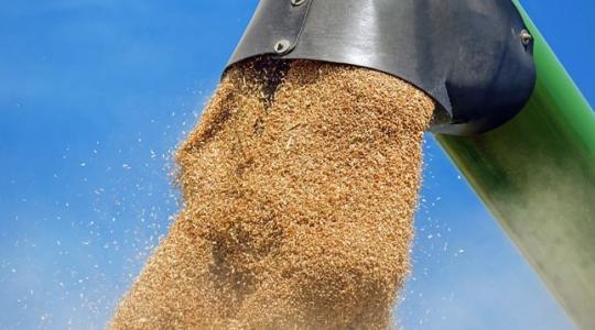 A Brexit rányomja a bélyegét az agrártermékek kereskedelmére – nem is kicsit!
