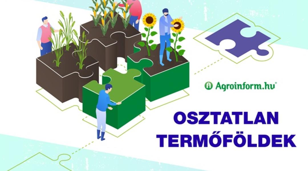 Osztalan Termőföldek Webinárium – Utolsó lehetőség a jelentkezésre!