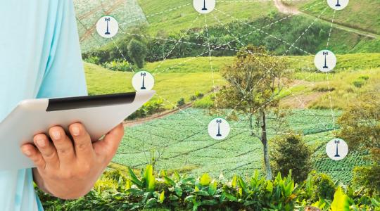 Minden, amit a Digitális Agrár Stratégiáról tudni kell