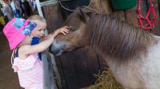 300 standdal vár a Farmer Expo Debrecenben!