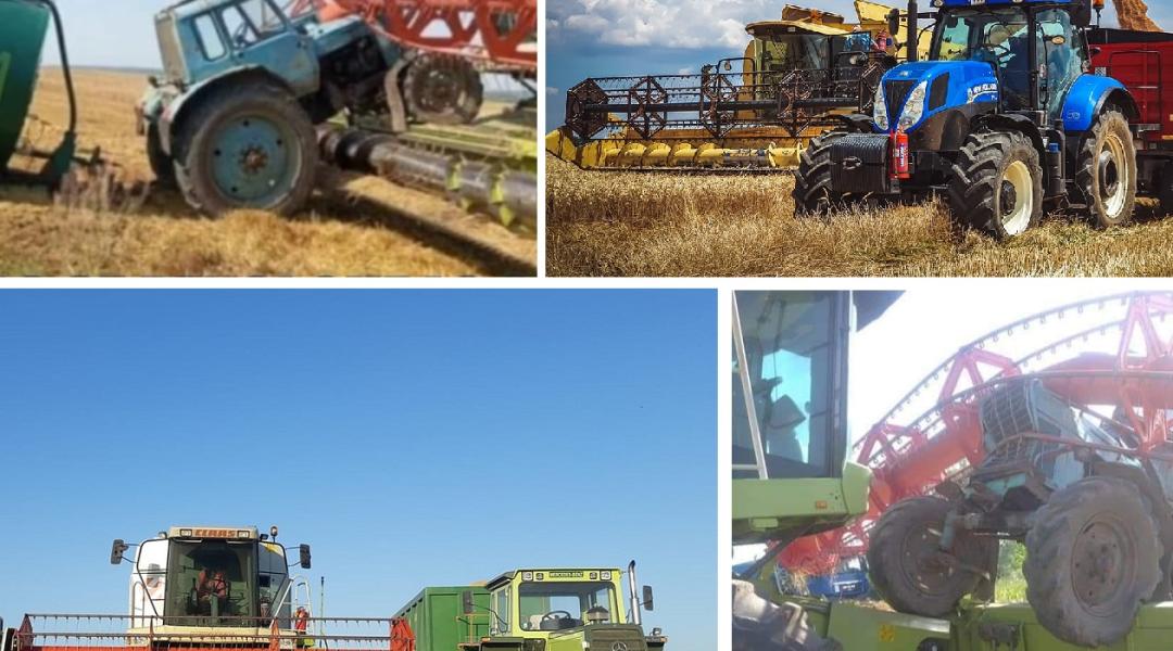 Aratás 2021: Árpa, búza, repce betakarítás közé becsúszott egy MTZ traktor is – Képek, videók