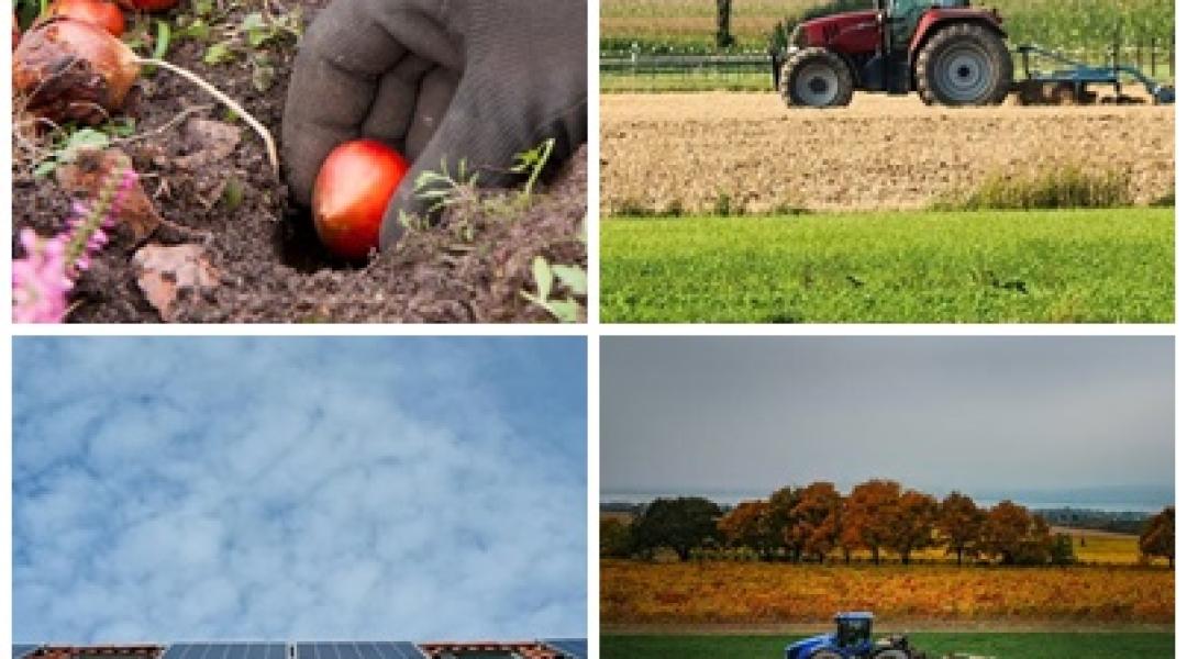 Sürgős kerti teendők, hatalmas pénzek öntözésre, új pályázatok a láthatáron