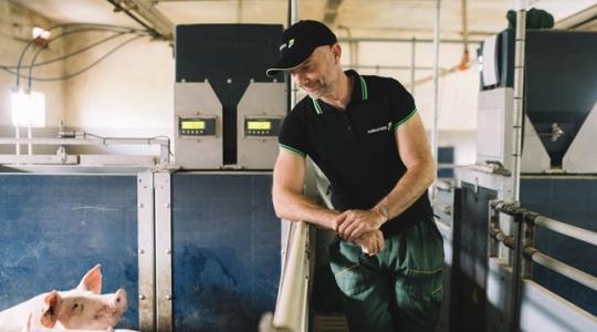 Egészségesebb malacok, alacsonyabb költségek – díjat nyert a magyar takarmány