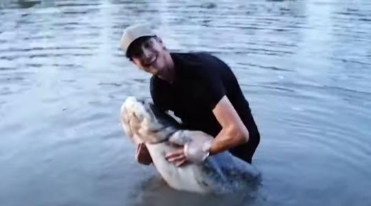 500 forintos műcsalival fogott kétméteres harcsát - Videó!