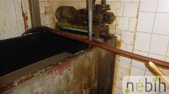 Kukacos virsli buktatta le a horror vágóhidat Hajdú-Biharban – Videó