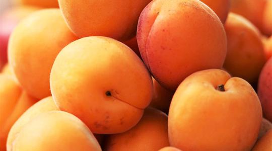 Nincs mese, növelni kell a magyar agrárium és élelmiszeripar exportját!